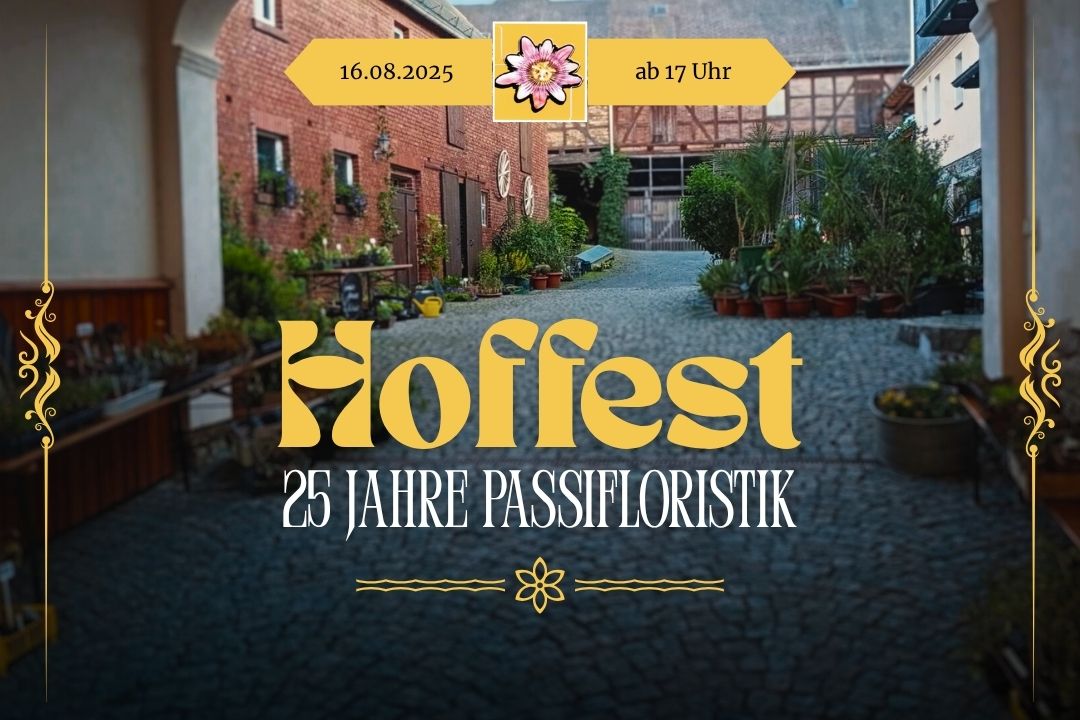 Banner: Hoffest am 16.08.2025 ab 17 Uhr